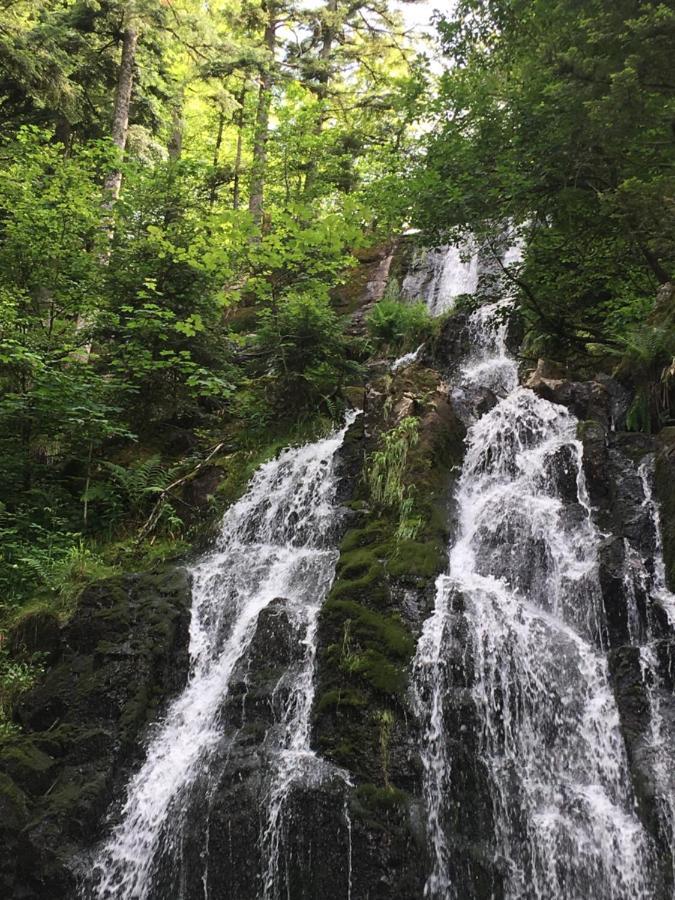 Apartmán Le Petit Kichon Gérardmer Exteriér fotografie