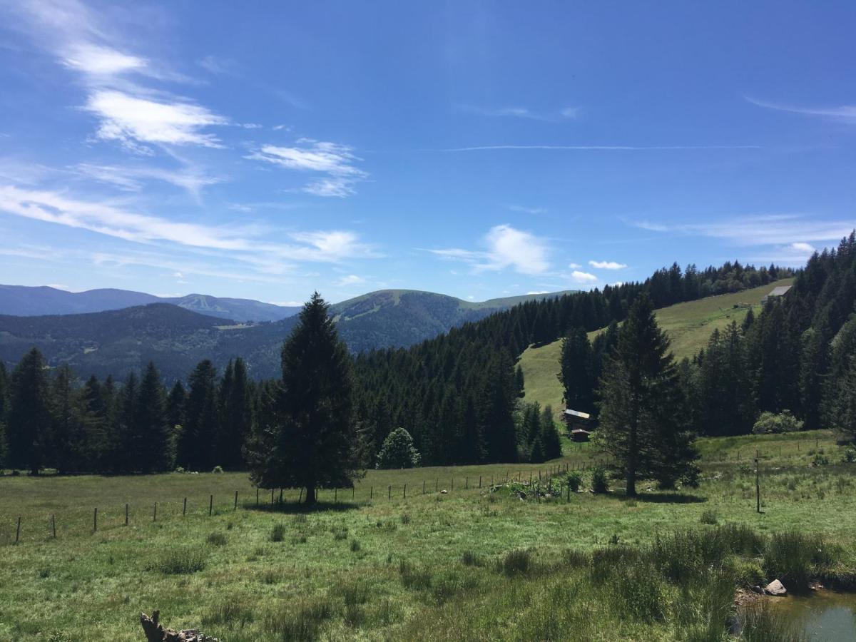 Apartmán Le Petit Kichon Gérardmer Exteriér fotografie