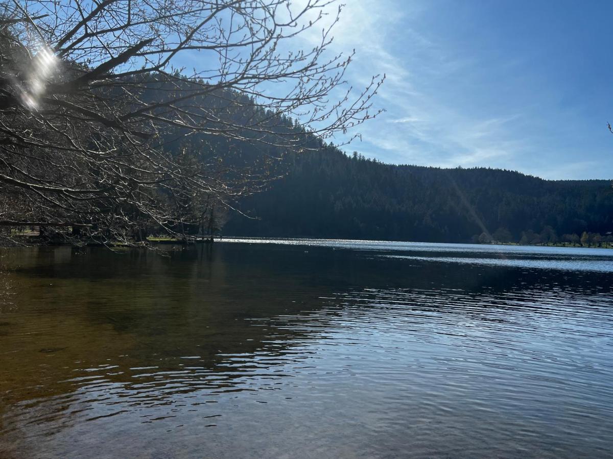 Apartmán Le Petit Kichon Gérardmer Exteriér fotografie
