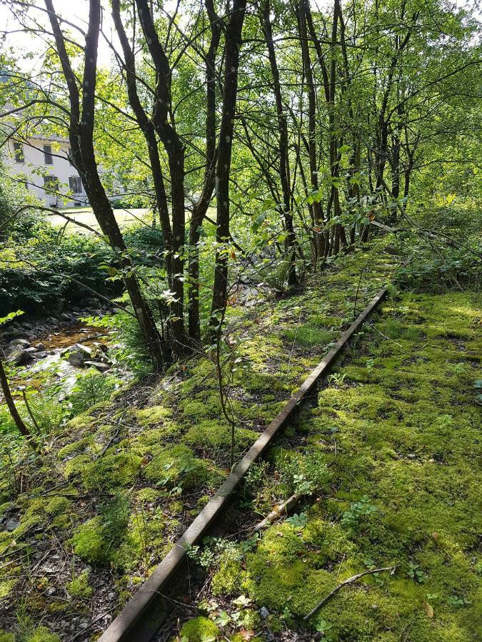 Apartmán Le Petit Kichon Gérardmer Exteriér fotografie